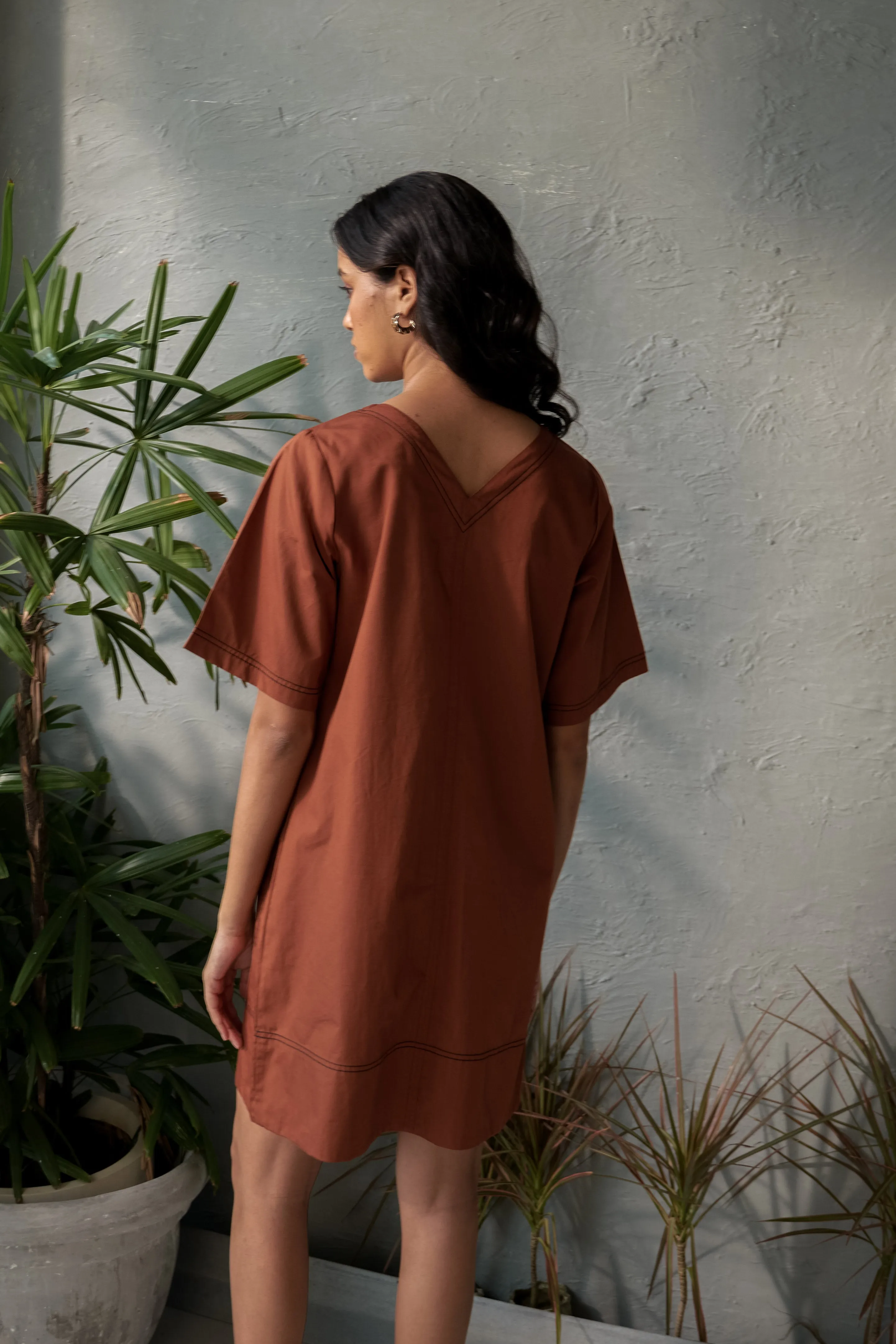 Biscotti Dress