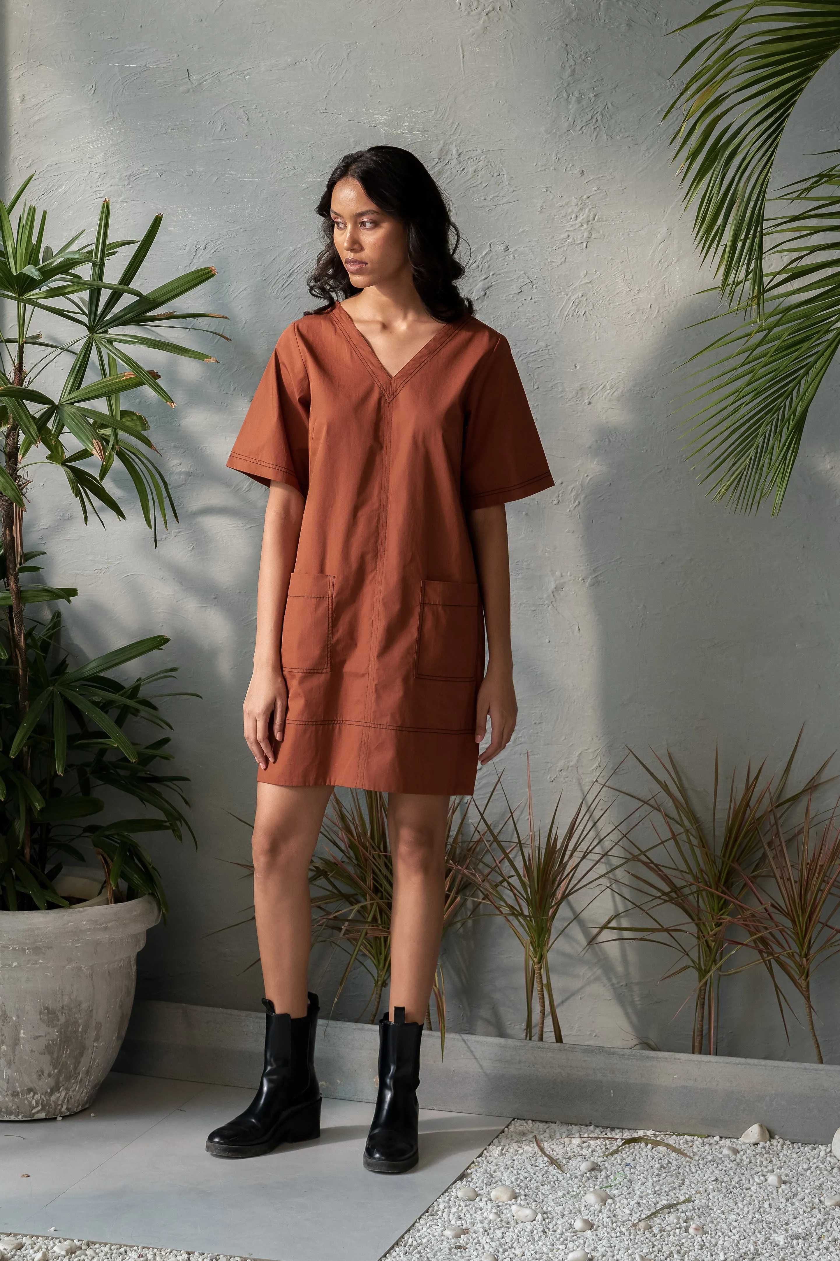 Biscotti Dress