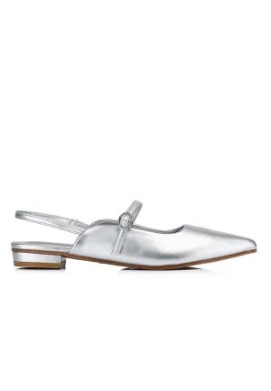 Eurig Pointed Toe Flats & Ballerina (Silver)