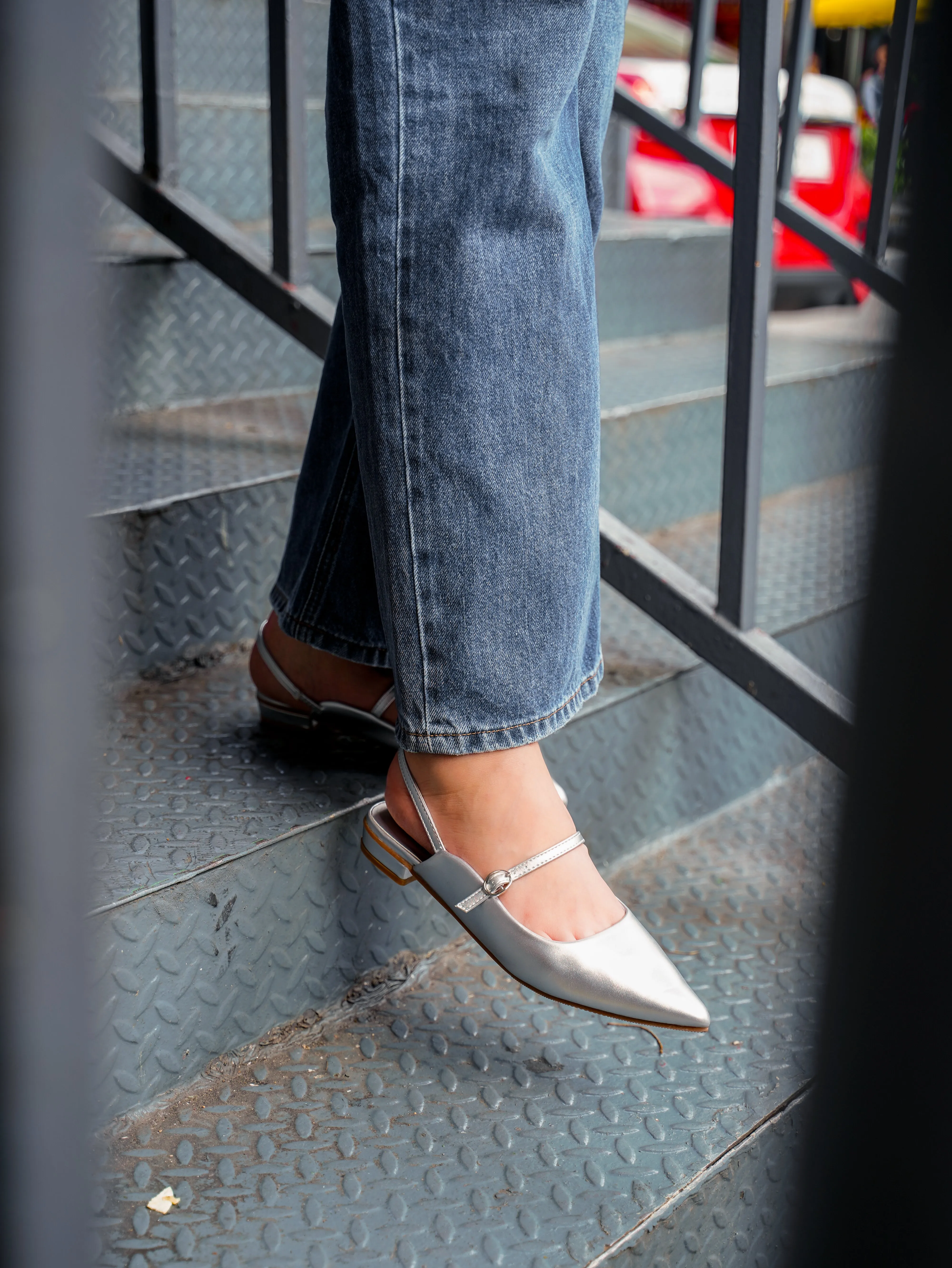Eurig Pointed Toe Flats & Ballerina (Silver)